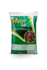 PIVOT GOLD