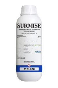 SURMISE
