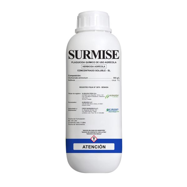 SURMISE