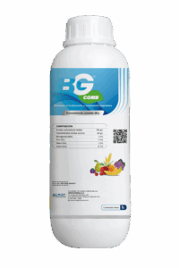 BG COMB