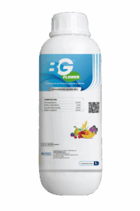 BG Flower