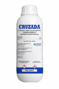 CRUZADA