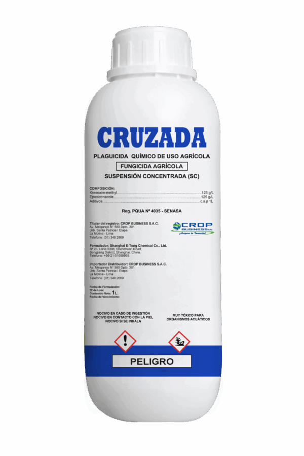 CRUZADA