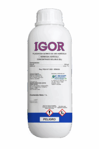 IGOR