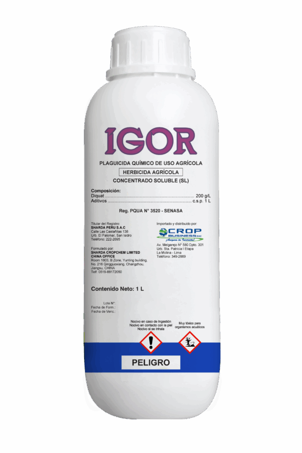 IGOR