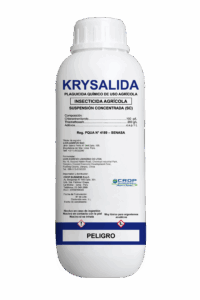 KRYSALIDA