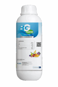 BG PAINTER