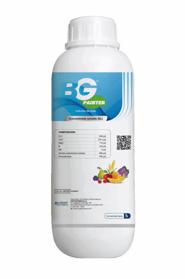 BG PAINTER
