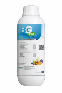 BG PRO