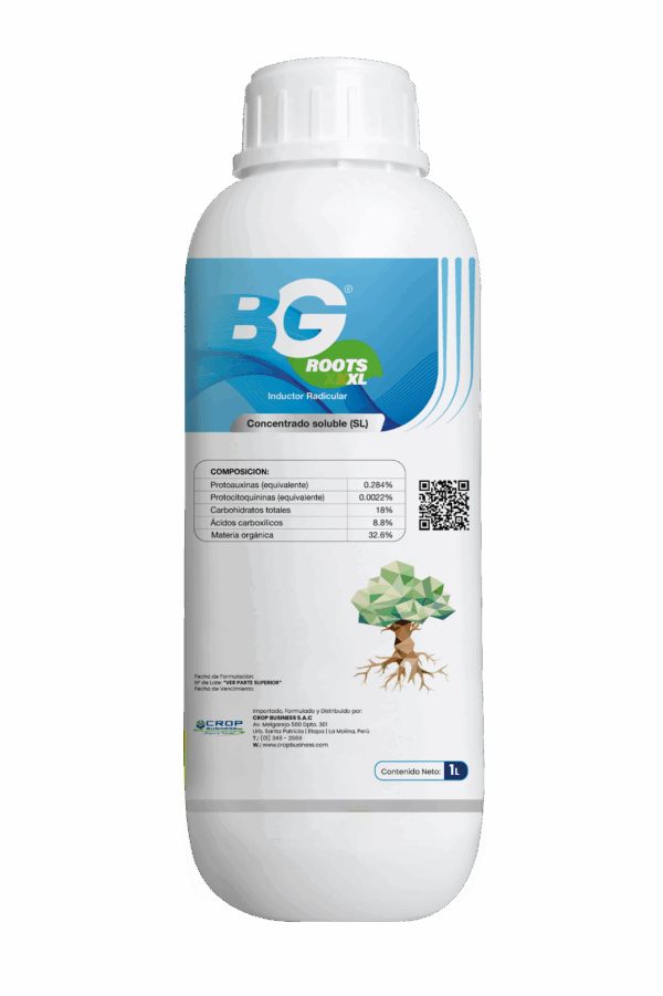 BG ROOTS XL