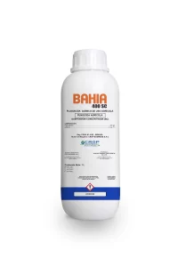BAHIA 400 SC